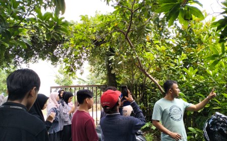 Jurnalistik Trip Mastumapel.com: Eksplorasi Kebun Kopi di Bojonegoro