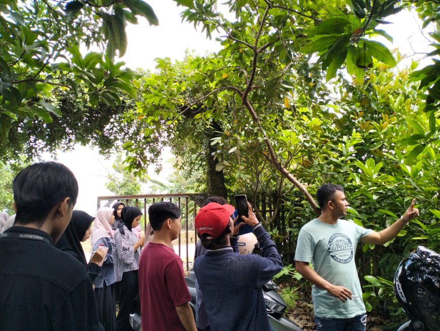Jurnalistik Trip Mastumapel.com: Eksplorasi Kebun Kopi di Bojonegoro