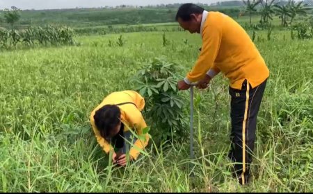 Peduli Lingkungan, Pengabdian Masyarakat UKM P2J Tanam Bibit Pohon di Desa Bakulan