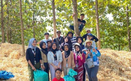 Bonggol Jagung Melimpah, Kelompok 11 KKN-TK Unigoro Sulap Limbah Menjadi Media Tanam Jamur Janggel