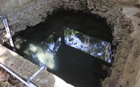 Sendang Pradok, Warisan Alam dan Spiritualitas di Tengah Hutan Jati Bojonegoro