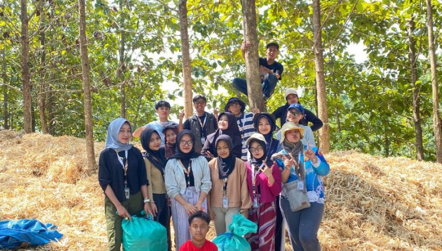 Bonggol Jagung Melimpah, Kelompok 11 KKN-TK Unigoro Sulap Limbah Menjadi Media Tanam Jamur Janggel