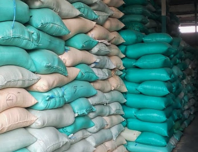 Harga GKP Naik Lagi Setelah Turun Sebulan Lalu, Dipicu Cuaca Tidak Menentu