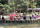 Tiket Cuma Rp2.000, Sumber Air Panas Nganget Tuban Diserbu Warga untuk Tarapi