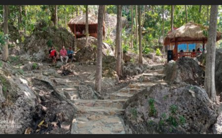 Wisata Gunung Dingklik, Wisata Alam Unggulan Desa Ngimbang Kabupaten Tuban