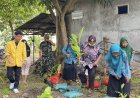 Sentra Jamu tapi Minim Bahan Baku, Mahasiswa Unigoro Ajak Warga Sumberarum Tanam TOGA