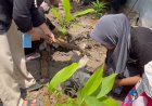 Tanamkan Kesadaran Sejak Dini, Kelompok 2 PESMA Unigoro Hadirkan Taman TOGA di SDN Sumberagung 2