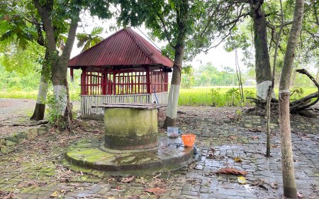 Menguak Misteri Sendang Penguripan: Jantung Sejarah dan Jejak Leluhur Desa Sendangrejo