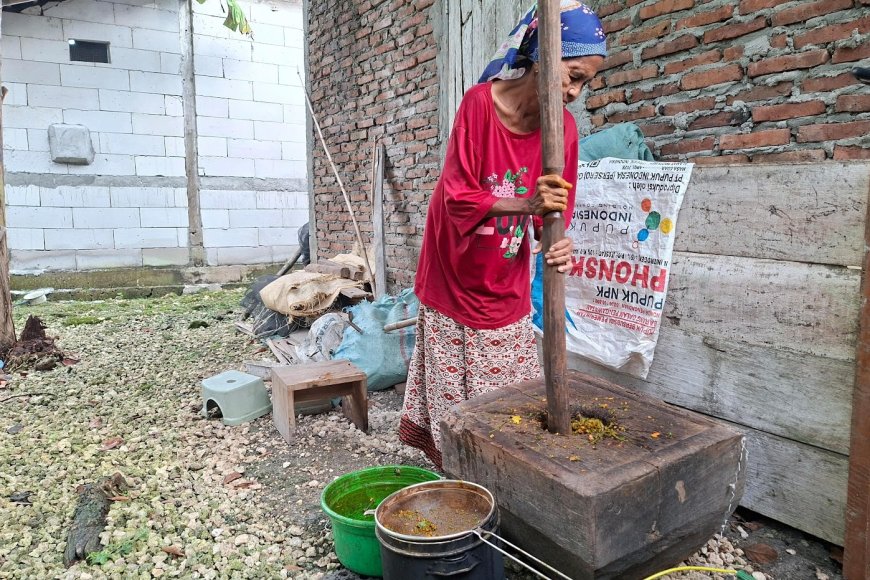 Suara Alu Mbah Kastri: Merawat Warisan Leluhur Lewat Segelas Jamu Gepyok di Sendangrejo