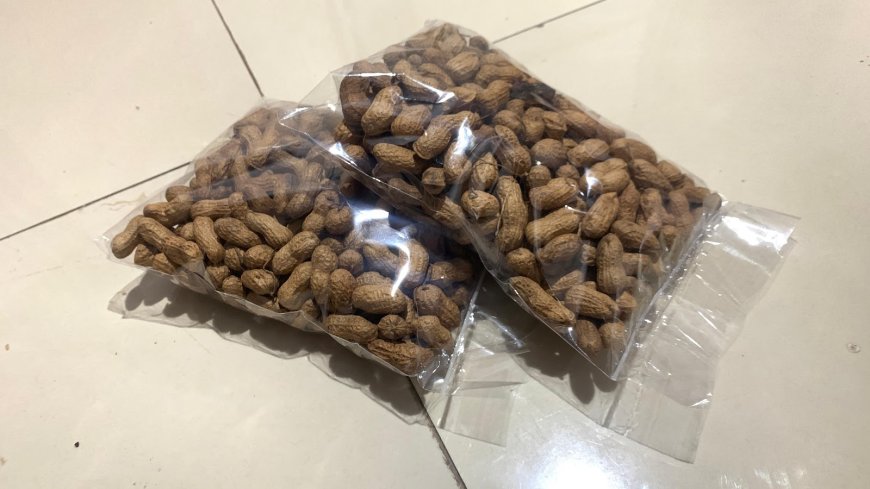 20 Tahun Bertahan, Kacang Goreng 'Arang Batok' Bu Sumari di Sumberarum Punya Rasa Khas