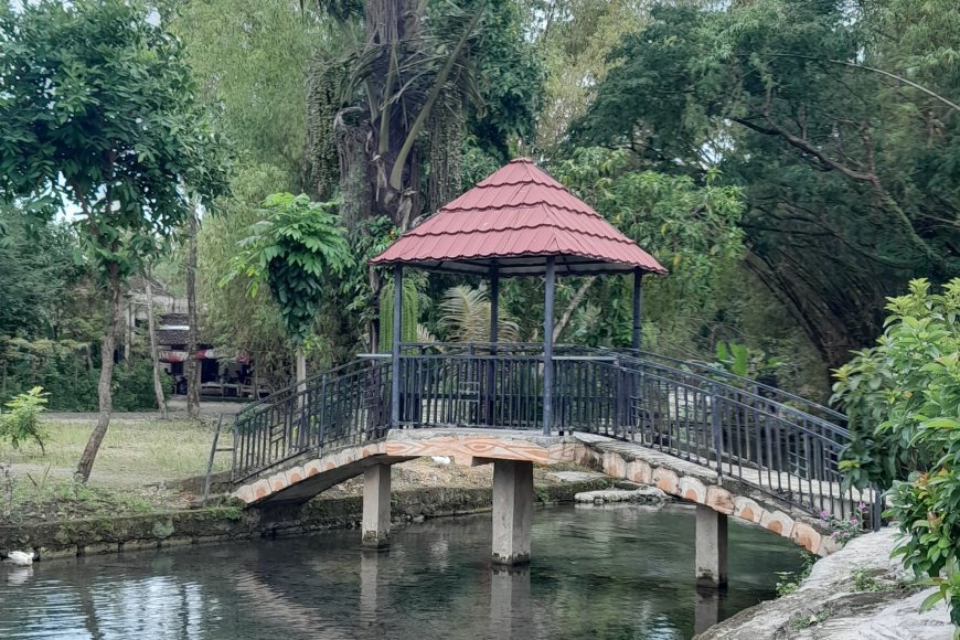 Sendang Arum Tirta: Air yang Mengingat, Desa yang Tak Lupa