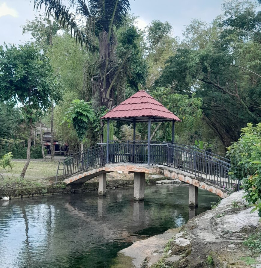 Sendang Arum Tirta: Air yang Mengingat, Desa yang Tak Lupa