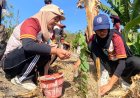 Rangkaian Program Agroforestry KKN-TK Unigoro: Dari Sosialisasi, Pemetaan Batas, Hingga Aksi Tanam Pohon di Desa Kedungsari