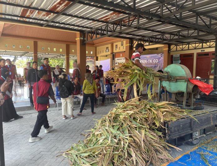 KKN-TK 03 UNIGORO Bersama Dinas Peternakan dan Perikanan Kabupaten Bojonegoro Gelar Pelatihan Pembuatan Silase di Desa Pejok