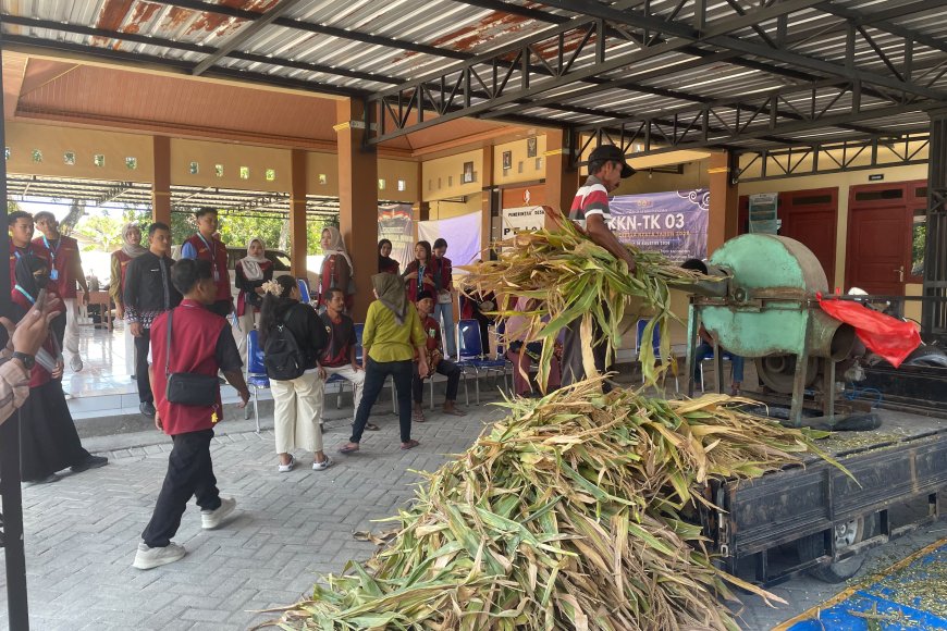 KKN-TK 03 UNIGORO Bersama Dinas Peternakan dan Perikanan Kabupaten Bojonegoro Gelar Pelatihan Pembuatan Silase di Desa Pejok