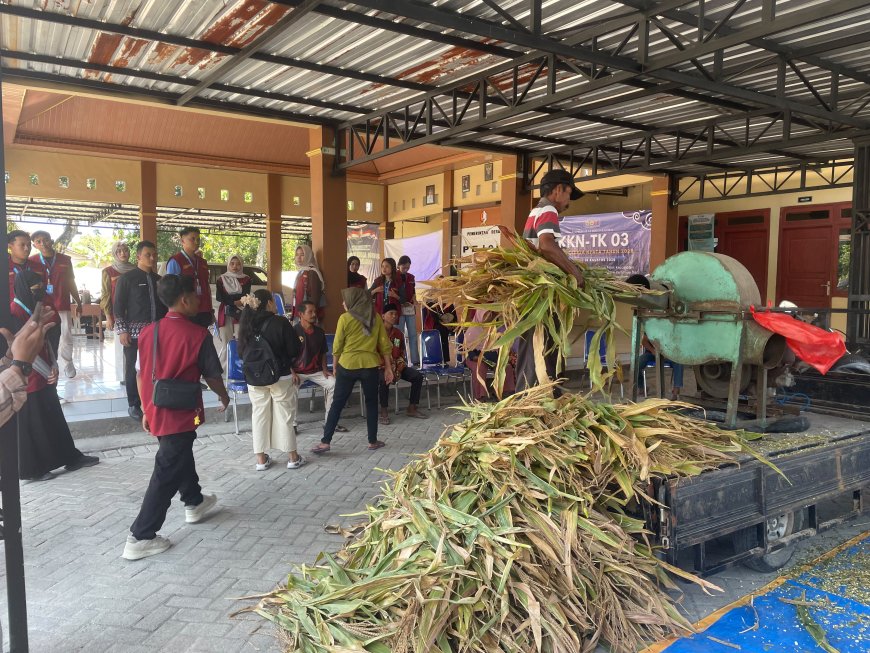 KKN-TK 03 UNIGORO Bersama Dinas Peternakan dan Perikanan Kabupaten Bojonegoro Gelar Pelatihan Pembuatan Silase di Desa Pejok